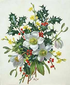 Jessamine: Christmas Spray ' holly, jessamine etc