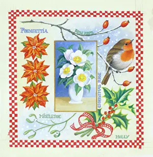 Comerford: Christmas Time, robin and flowers