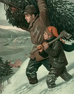 Downhill: The Christmas Tree