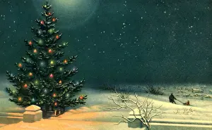 Starry: Christmas Tree