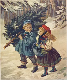 Terry Parker Collection (iln): The Christmas Tree