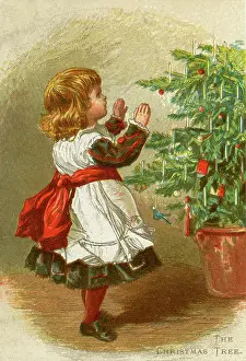 Decorating: The Christmas Tree