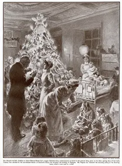 Highgate: Christmas tree at Cromwell House 1908