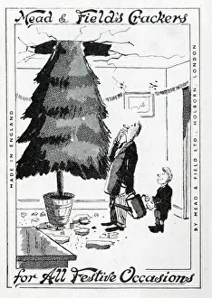 Joke: Christmas Tree grown through ceiling