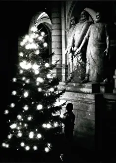 Softly: Christmas tree and sculpture, parliament building, Berne