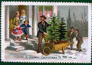 Christmas tree seller