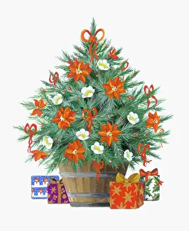 Poinsettias: Christmas tree in wooden tub