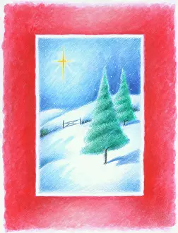 Endersby: Christmas trees in snow with star