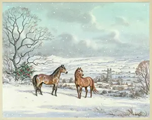 Widecombe: Christmas at Widecombe