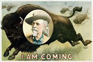 Bison: Chromolithographic print of a herd of buffalo
