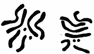 Investigated: Chromosomes of Pomace Fly