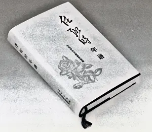 Edited: The Chronicle of Ren Bishi
