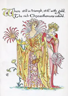 Chrysanthemum: Chrysanthemums