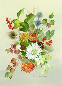 Teasel: Chrysanthemums etc