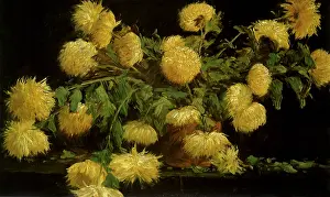 Merrit: Chrysanthemums