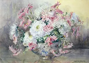 Chrysanthemums: Chrysanthemums ' in a Chinese bowl
