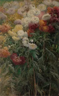 Impressionistic: Chrysanthemums in the Garden, by Gustave Caillebotte
