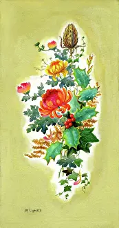 Lynes: Chrysanthemums, teasel, holly etc