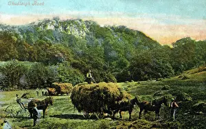 Chudleigh: Chudleigh Rocks - Chudleigh, Newton Abbot, Devon, England