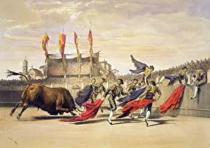 Luring: Chulos playing the bull