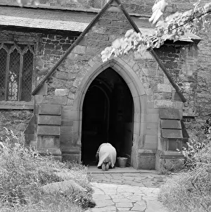 Churchs: Church