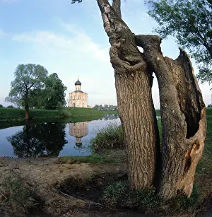 Nerl: Church of Intercession on Nerl River, 1983