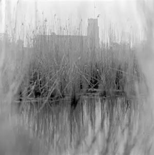 Blythburgh: Church Through Reeds