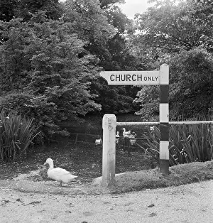Sandon: Church Sign