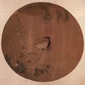 Cicada: Cicada Tapestry Fan