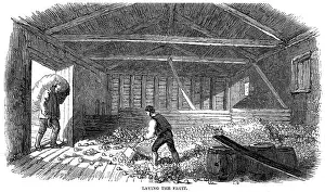 Cider: CIDER MAKING, 1850