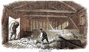 Cider: CIDER MAKING, 1850