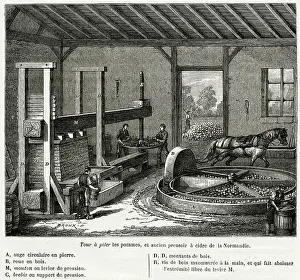 Cider: Cider pressing