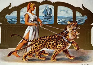 Jaguars: Cigar box picture