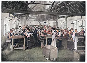 Gluckstein: Cigar factory
