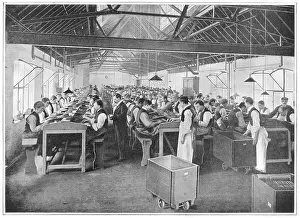 Gluckstein: Cigar factory