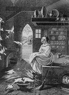 Cinderella: Cinderella