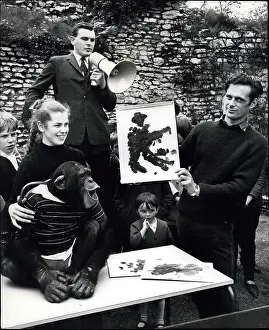 Auctioned: Cindy Lou, chimpanzee, with her own paintings