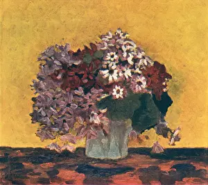 Crampton: Cinerarias