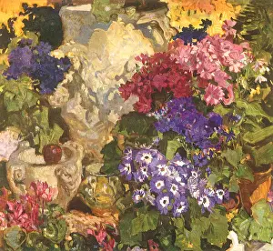 Profusion: Cinerarias, by Frank Brangwyn