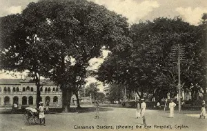 Rickshaws: Cinnamon Gardens, Colombo, Ceylon (Sri Lanka)