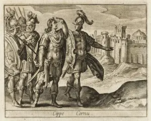 Prefers: CIPPIUS GENUTIUS