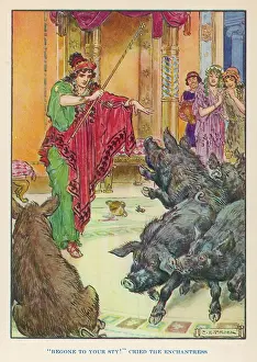 CIRCE AND SWINE
