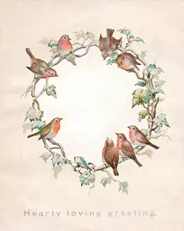 Circle of robins on a Christmas card