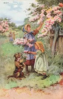 Maytime: The Circling Year - May