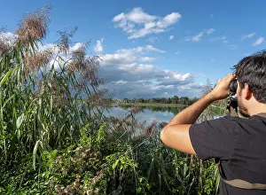 Birdwatching: Circuit de l'Observatoire, Dombes, Auvergne-Rhone-Alpes