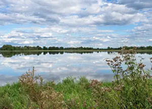 Rainwater: Circuit de l'Observatoire, Dombes, Auvergne-Rhone-Alpes