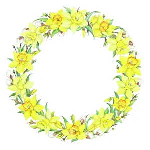 Pussy: Circular Border of daffodils and pussy willow