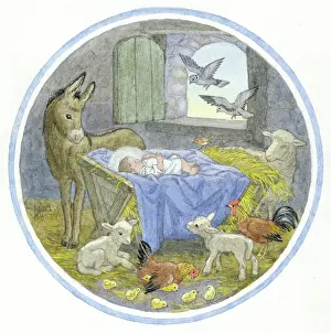 Medici Society (molly Brett): Circular design with baby Jesus in manger