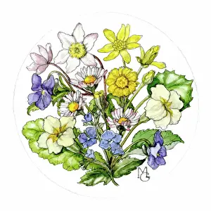 Celandine: Circular design of spring flowers