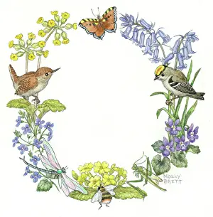 Nots: Circular design with wren, goldcrest, butterfly